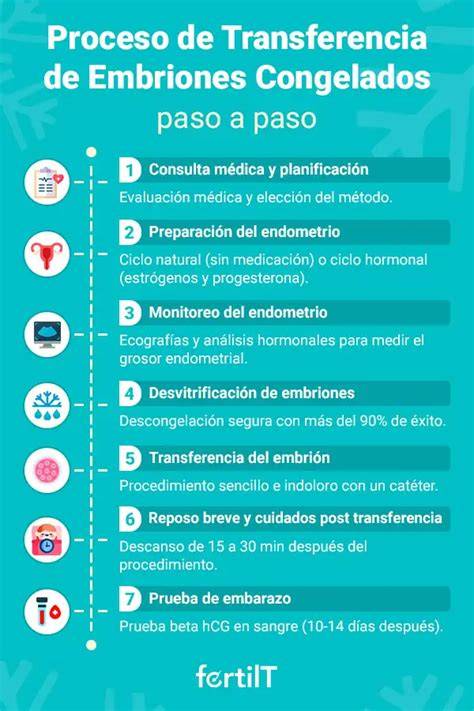Infografía comparativa entre transferencia de embriones frescos y congelados