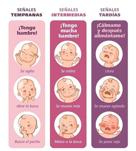 Ilustración de un bebé mostrando señales de hambre (chupándose los dedos, girando la cabeza buscando el biberón).