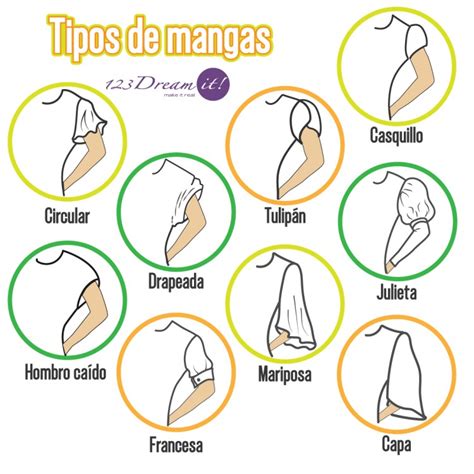 Variedad de bodies para bebé con diferentes tipos de mangas y cuellos