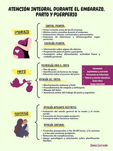 Esquema de la atención integral en el embarazo, parto y puerperio