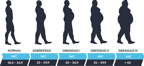 Infografía comparativa: Gráfica de aumento de peso recomendado según el IMC previo a la gestación (bajo peso, normal, sobrepeso y obesidad).