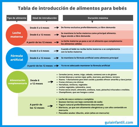 Infografía sobre la introducción de alimentos sólidos en bebés
