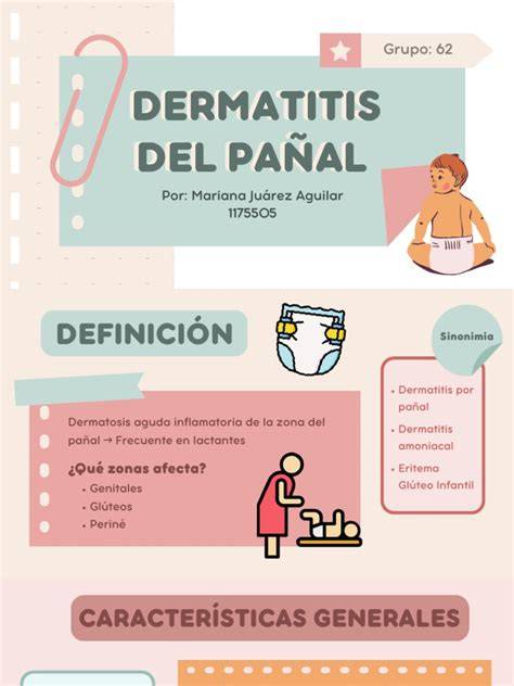 Infografía sobre las causas principales de la dermatitis del pañal en bebés