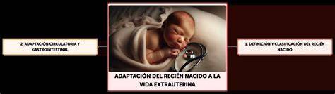 Esquema que muestra la transición del recién nacido a la vida extrauterina y los factores de la pérdida de peso inicial.
