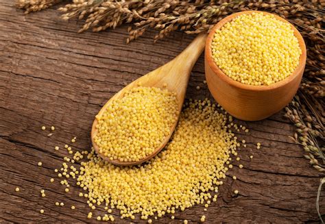 Esquema nutricional del mijo: comparativa de proteínas, fibra y minerales frente a otros cereales