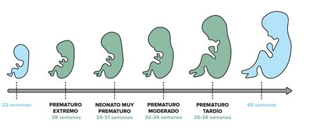 Infografía que muestra la escala de prematuridad: extremo, muy prematuro, moderado y tardío, junto con sus rangos de semanas.