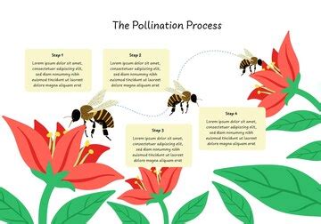 Flores de olivo y proceso de polinización