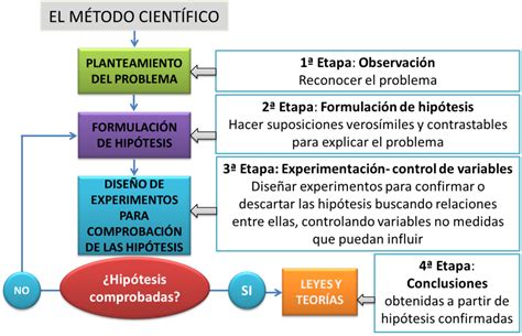 Esquema del método científico con sus etapas: observación, hipótesis, experimentación, análisis y conclusión.