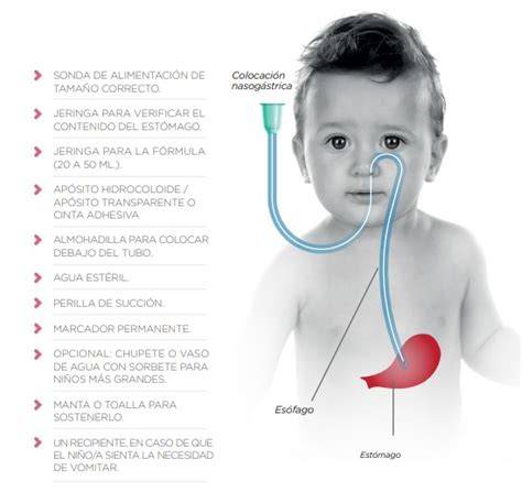Ilustración mostrando la técnica correcta de alimentación con biberón y sonda nasogástrica en cachorros.