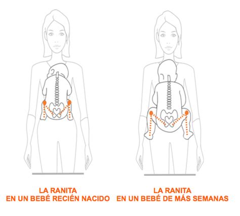 Diagrama que ilustra la postura ergonómica del bebé en una mochila Emeibaby (posición en M, rodillas más altas que el cul).
