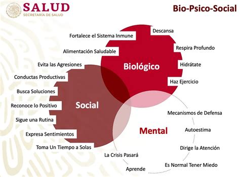 Infografía que muestra la interconexión entre los aspectos biológicos, psicológicos y sociales de la infertilidad.