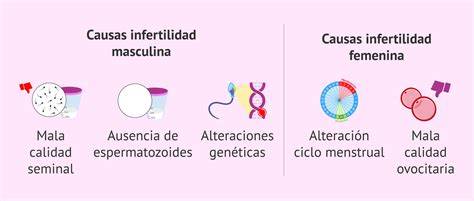 tabla resumen de las causas de infertilidad masculina y femenina