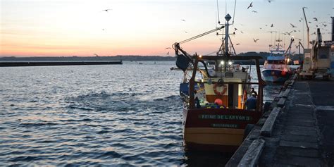Visite guidée d'un port de pêche