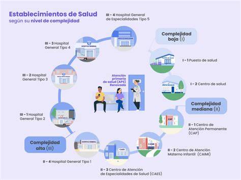 Infografía con las áreas clave de atención de una matrona en el hospital.
