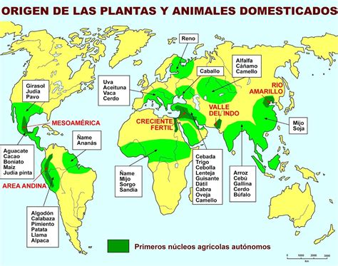 Mapa de distribución de las principales plantas alérgenas en España.