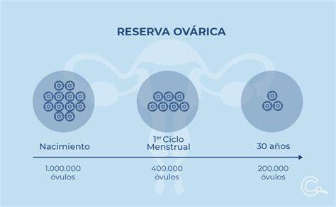Esquema sobre la reserva ovárica: cómo disminuye con la edad y su relación con la calidad de los óvulos