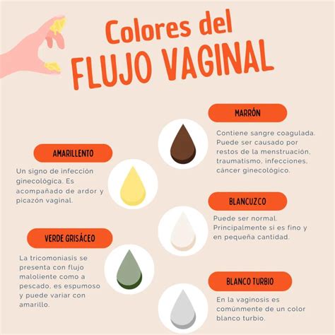 Foto de flujo vaginal amarillento o blanquecino en perra