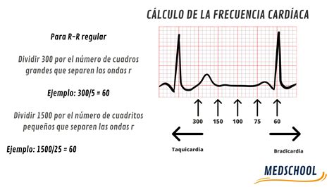 Esquema sobre la relación entre el ritmo de las nanas y la frecuencia cardíaca del bebé para inducir el sueño.