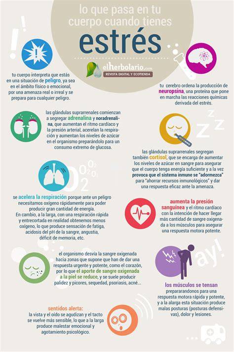 Infografía sobre los efectos del estrés en el desarrollo fetal