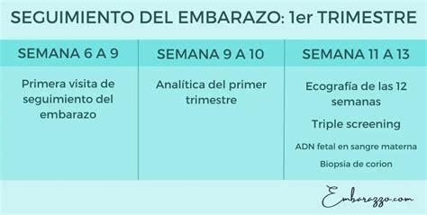 Esquema visual del calendario de seguimiento del embarazo y las principales consultas con la matrona y el ginecólogo en Osakidetza