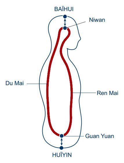 Diagrama de los meridianos Chong y Ren y su relación con el útero en MTC
