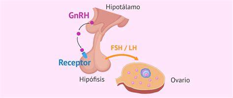 Esquema de la estructura química de la GnRH como decapéptido