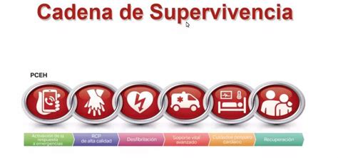 Esquema de la cadena de supervivencia pediátrica que destaca la importancia de la desfibrilación precoz.