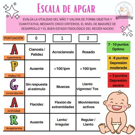 Gráfico explicativo de los parámetros de la escala de Apgar y su interpretación clínica.