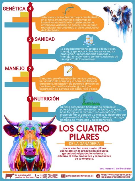 Infografía sobre los pilares de la profesión de matrona: ciencia, respeto y pasión