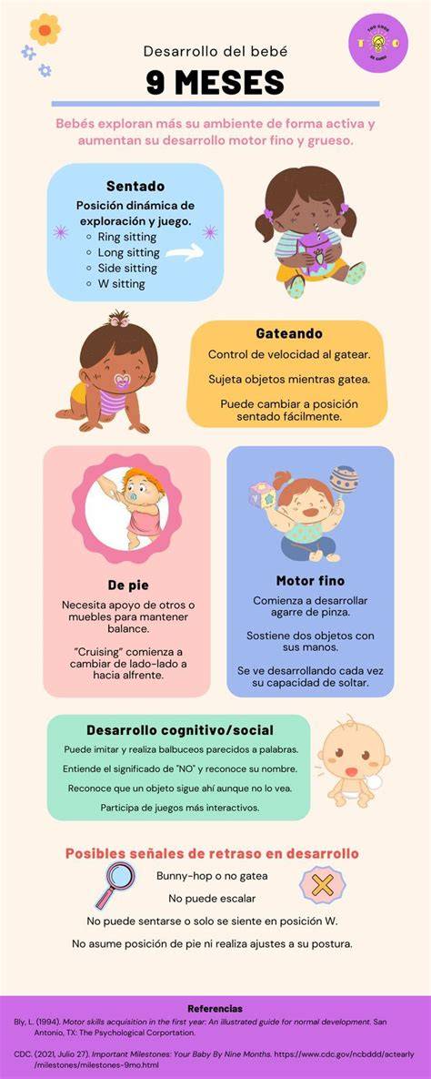 Infografía: etapas de desarrollo del bebé y tipos de tetina