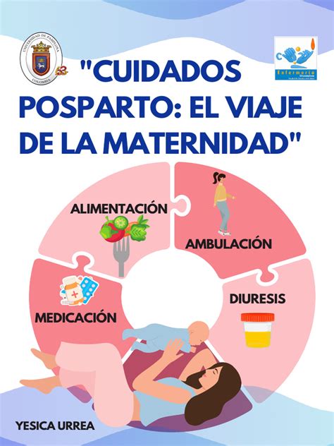 Infografía sobre cuidados del perineo postparto