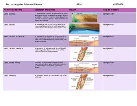 Infografía detallando las venas comúnmente utilizadas para venopunción en neonatos y los tipos de dispositivos de acceso vascular.