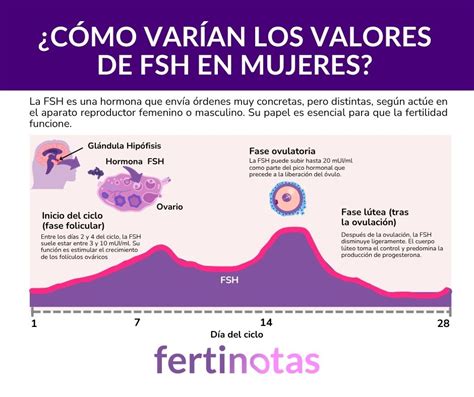 Infografía comparando niveles de AMH y FSH en diferentes escenarios de reserva ovárica.
