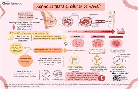 Esquema de las vías hormonales en el cáncer de mama y puntos de acción de la terapia endocrina