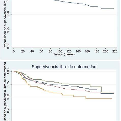 Gráfico: Comparación de tasas de supervivencia libre de enfermedad en diferentes regímenes de terapia hormonal