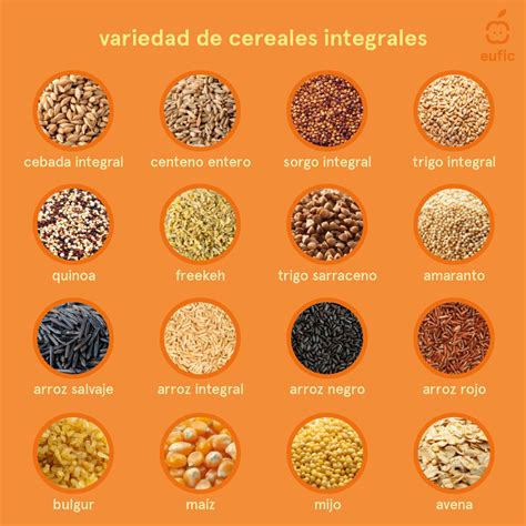 Esquema visual que muestra la variedad de cereales aptos para bebés: arroz, avena, quinoa, trigo, maíz y mijo.