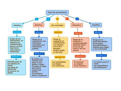 Mapa conceptual de los tipos de cuidado: con licencia, registrado y exento