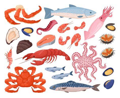 ilustracion de mariscos crudos y cocidos