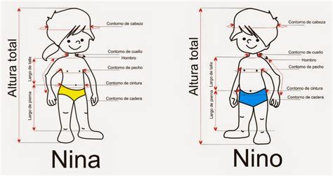 Infografía: cómo tomar las medidas de un niño (altura, pecho, cintura, cadera, pie)