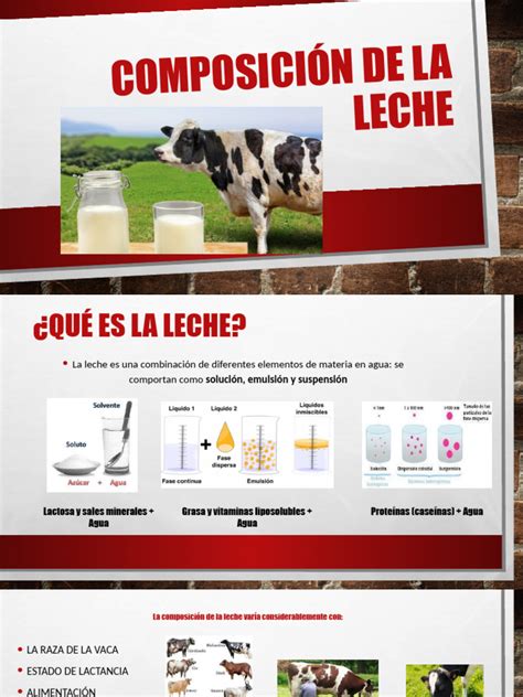 Esquema sobre la composición de la leche y su efecto en el vaciado gástrico comparado con el agua.