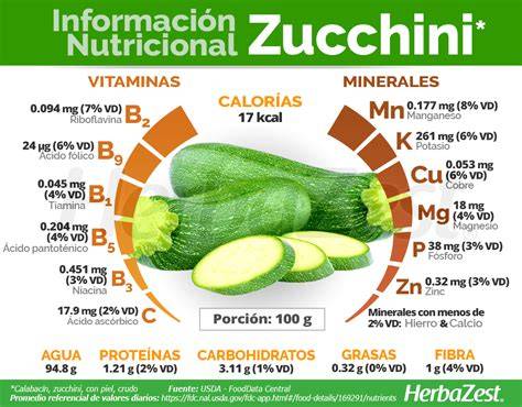 Esquema nutricional del calabacín destacando vitaminas, minerales, agua y fibra.