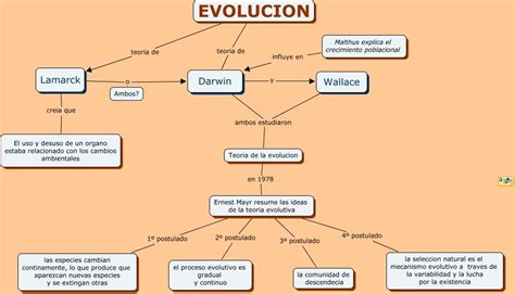 Esquema de la evolución de los personajes de Héctor Castiñeira
