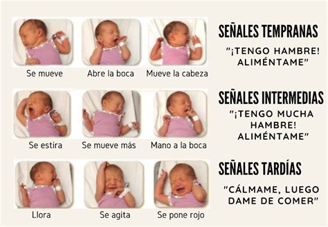 Bebé mostrando señales de hambre