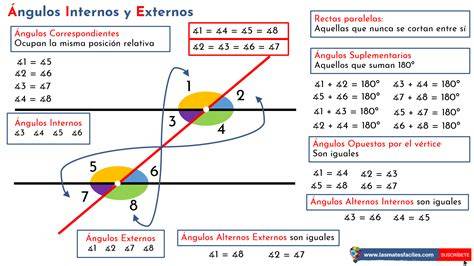 Vista de los compartimentos internos y externos de un bolso organizador Easywalker, destacando su capacidad.