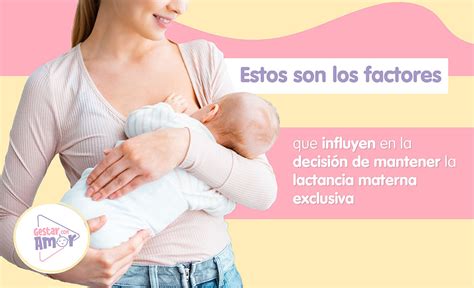 Esquema: Factores que influyen en el éxito de la lactancia materna