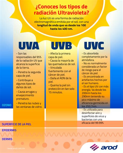 Infografía detallando los tipos de rayos UV (UVA, UVB, UVC) y sus efectos en la piel.