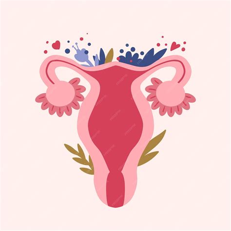 Ilustración de la zona íntima femenina con énfasis en el tratamiento de infecciones