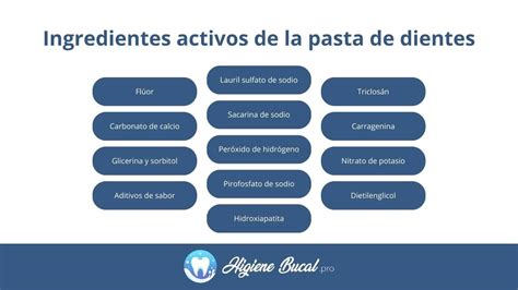 Infografía detallando los ingredientes activos de Gindoxi y sus funciones