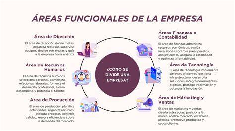 Esquema de las áreas de actuación de un abogado especializado en fertilidad