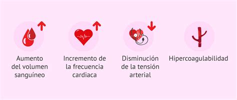 Esquema del sistema cardiovascular materno-fetal durante el embarazo